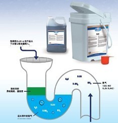 EXODOR Drain Deodorizer